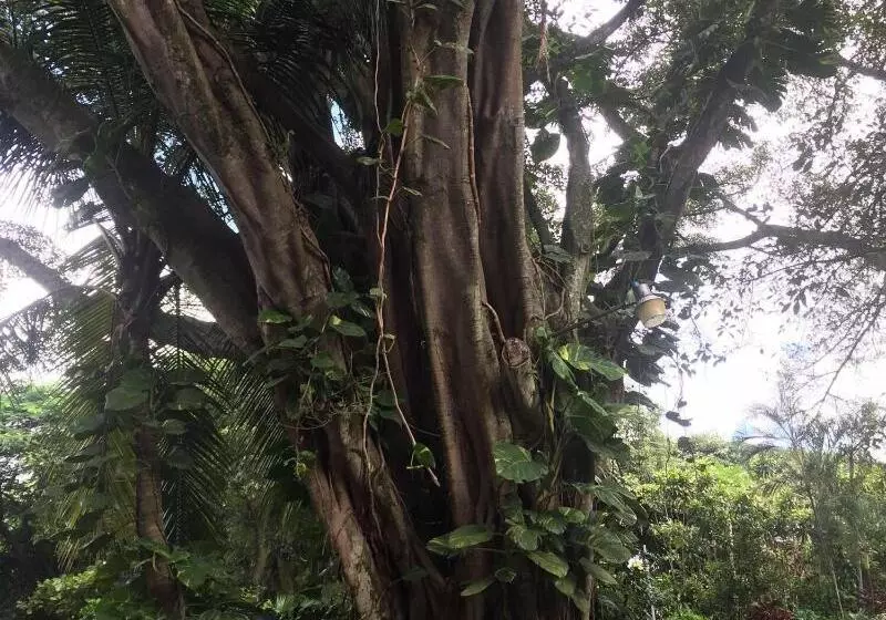 هتل Trapp Family Country Inn