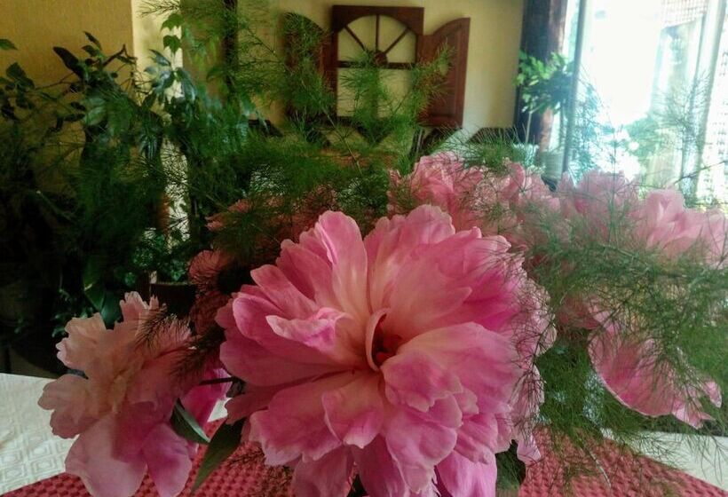 膳宿费 Guest House Zodiac