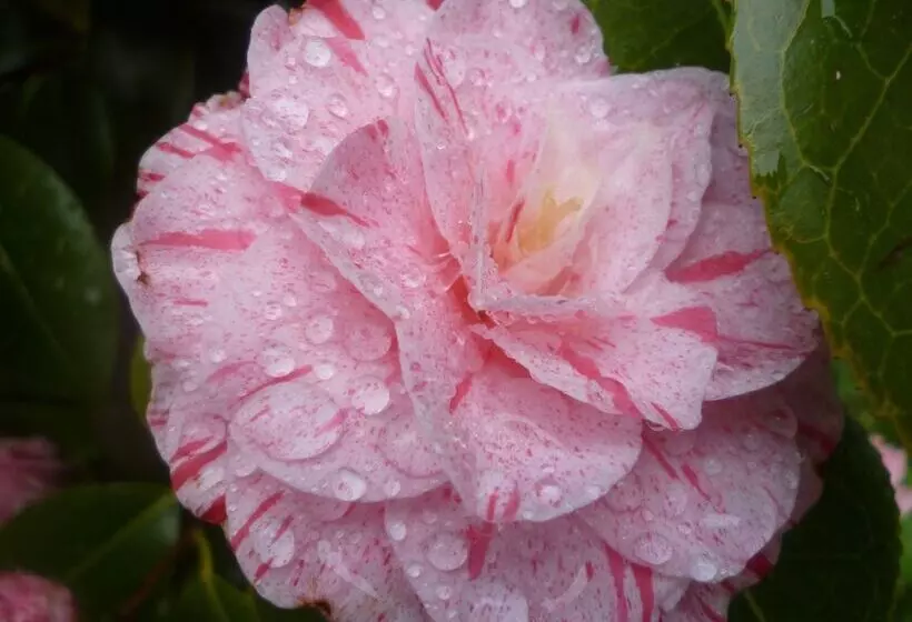 ペンション Score Valley Country House