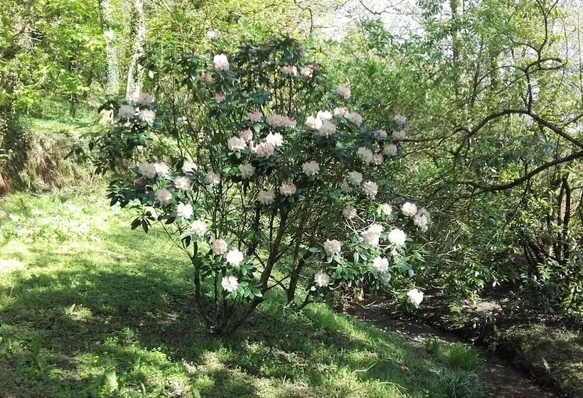 ペンション Score Valley Country House