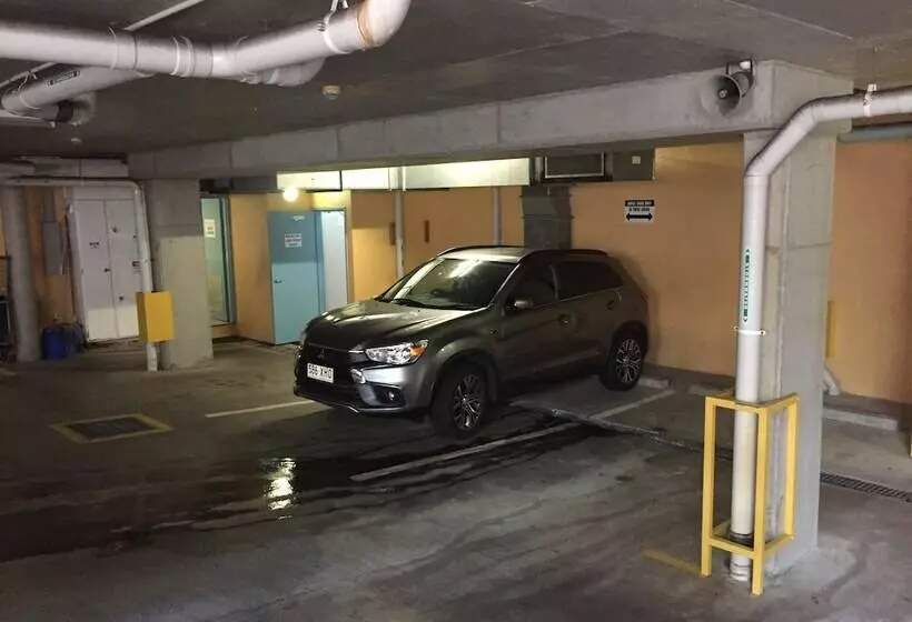 Silkari The Pavilions