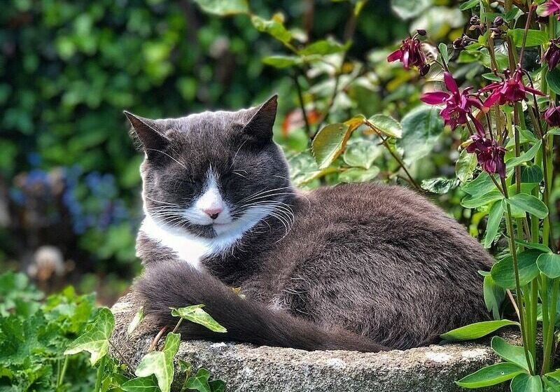 住宿加早餐  Splatthayes