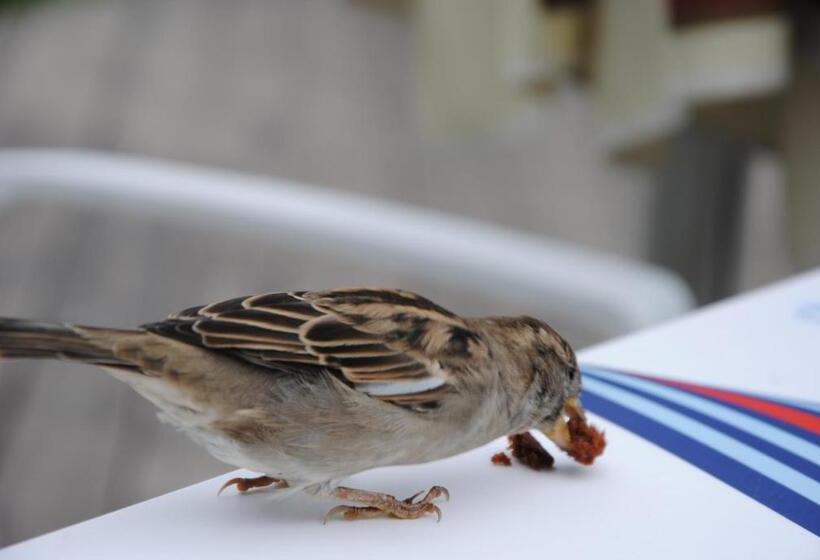 Bed and Breakfast Omega Jantar