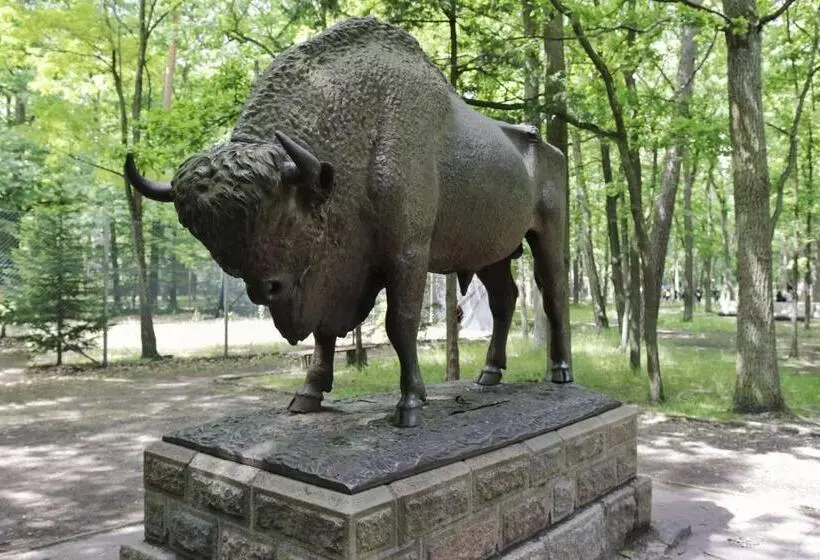 Aamiaismajoitus (B&B) Savoy