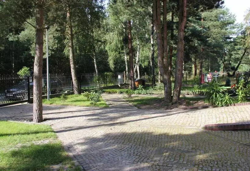 Aamiaismajoitus (B&B) Willa Olympia