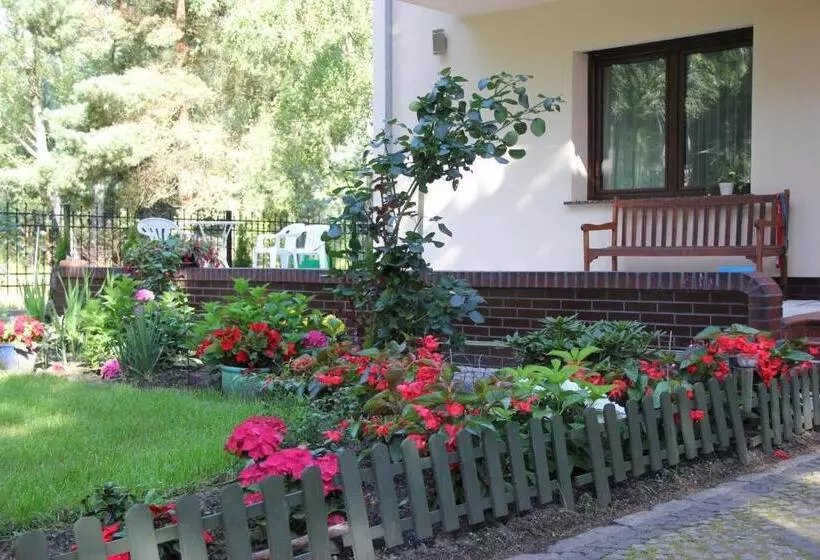 Aamiaismajoitus (B&B) Willa Olympia