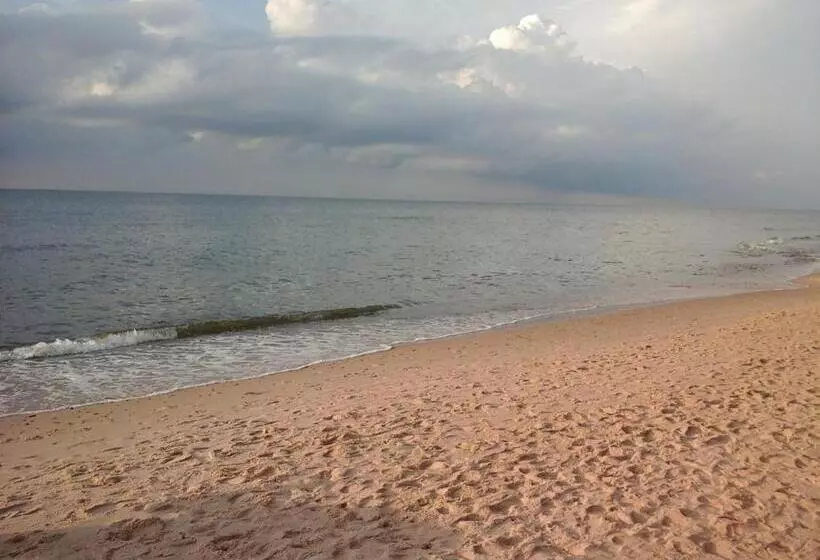 Aamiaismajoitus (B&B) Willa Olympia