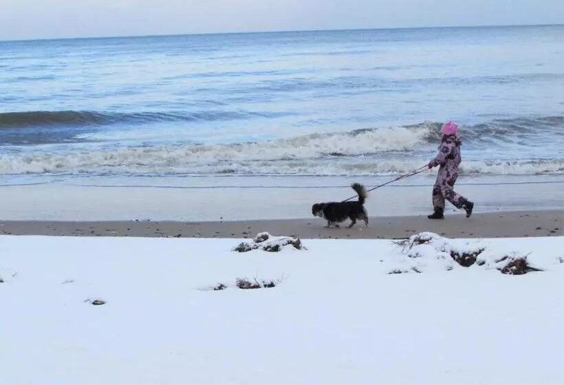 Aamiaismajoitus (B&B) Willa Wiktoria W Rozewiu   Parking W Cenie!