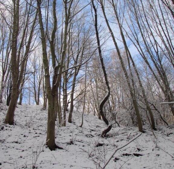 צימר Willa Wiktoria W Rozewiu   Parking W Cenie!