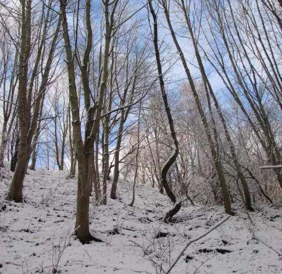 Aamiaismajoitus (B&B) Willa Wiktoria W Rozewiu   Parking W Cenie!