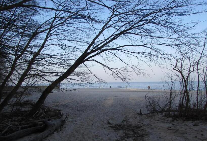 צימר Willa Wiktoria W Rozewiu   Parking W Cenie!