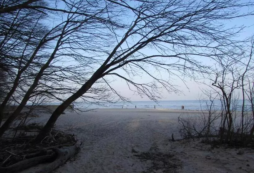 Aamiaismajoitus (B&B) Willa Wiktoria W Rozewiu   Parking W Cenie!