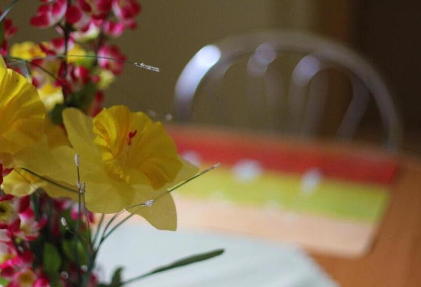 تختخواب و صبحانه Zakątek Pod Smrekami