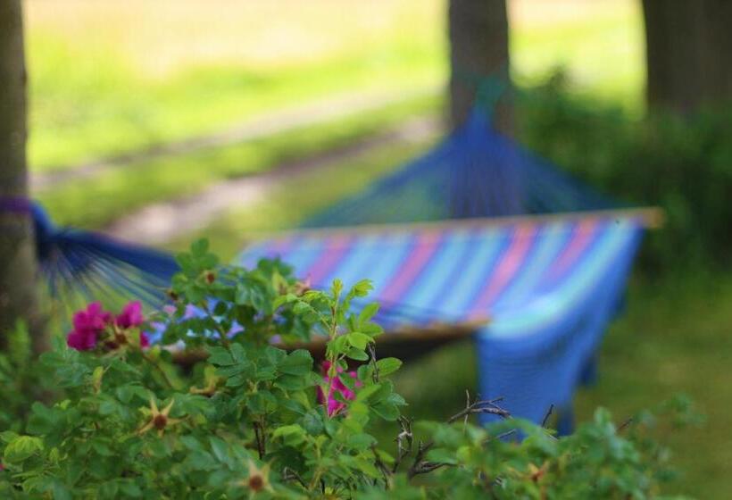 تختخواب و صبحانه Zakątek Pod Smrekami