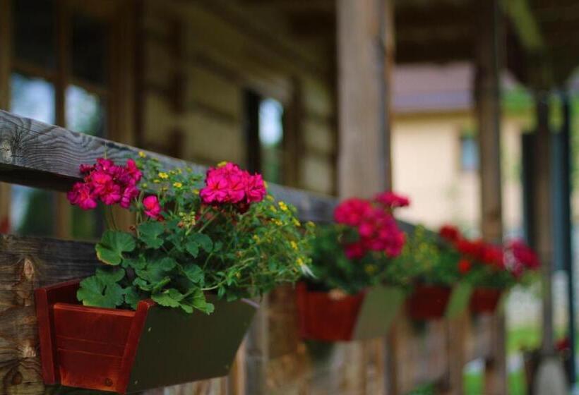 تختخواب و صبحانه Zakątek Pod Smrekami