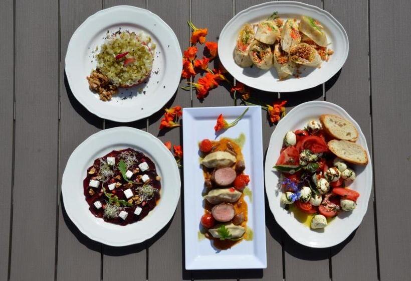 בית מלון כפרי Avangarda