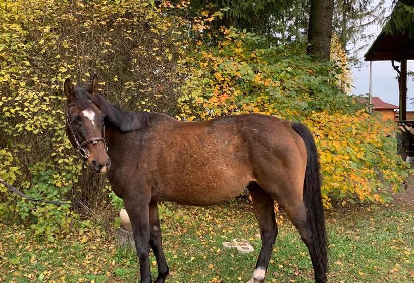 호텔 Kurnik Polski Agroturystyka