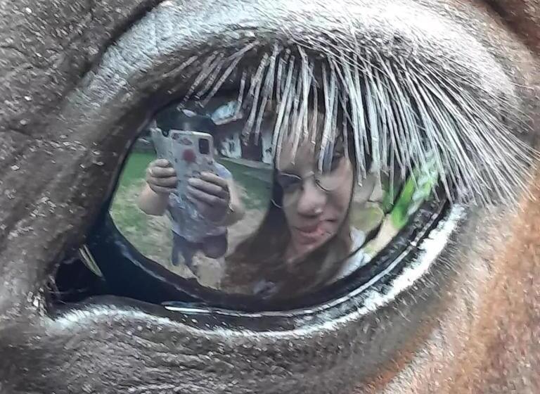 호텔 Kurnik Polski Agroturystyka