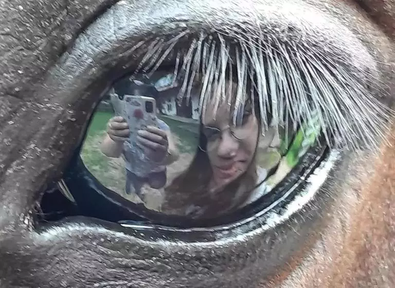 ホテル Kurnik Polski Agroturystyka