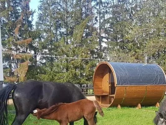 ホテル Kurnik Polski Agroturystyka