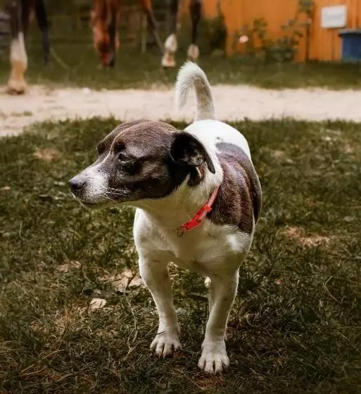 ホテル Kurnik Polski Agroturystyka
