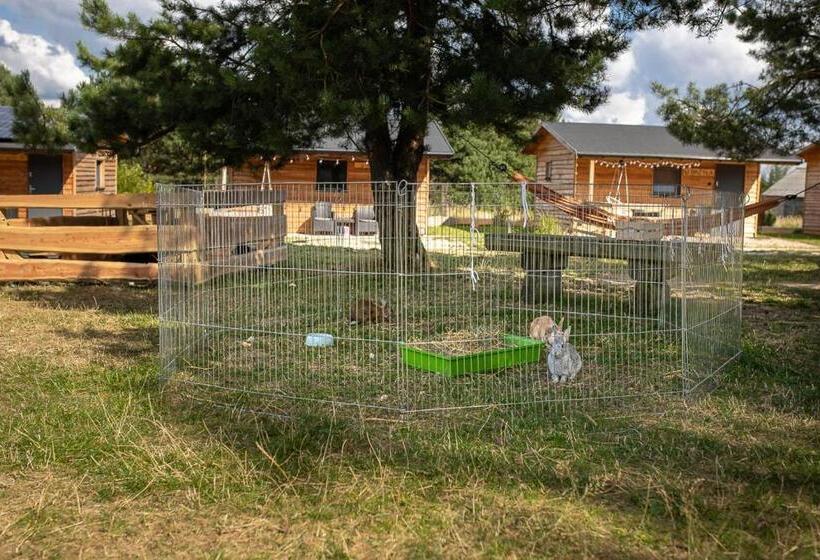 فندق Sokole Ranczo