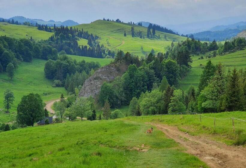 펜션 Dom Podróżnika