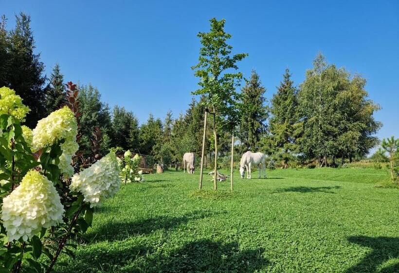 펜션 Dom Podróżnika