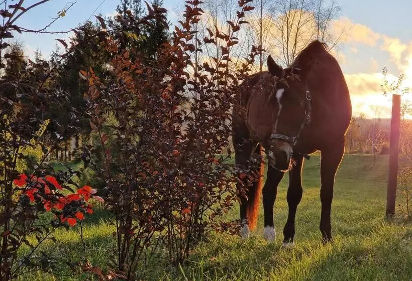 Majatalo Dom Podróżnika