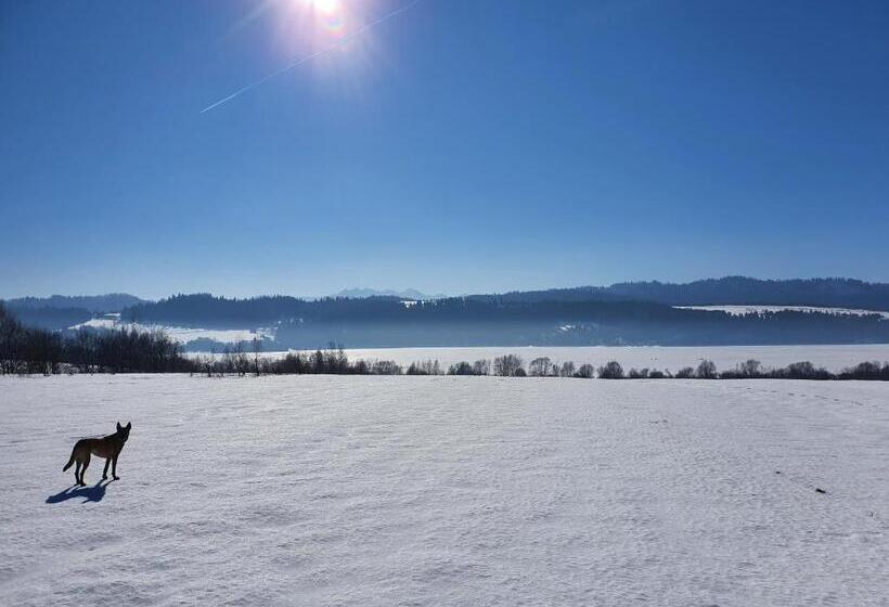 펜션 Dom Podróżnika