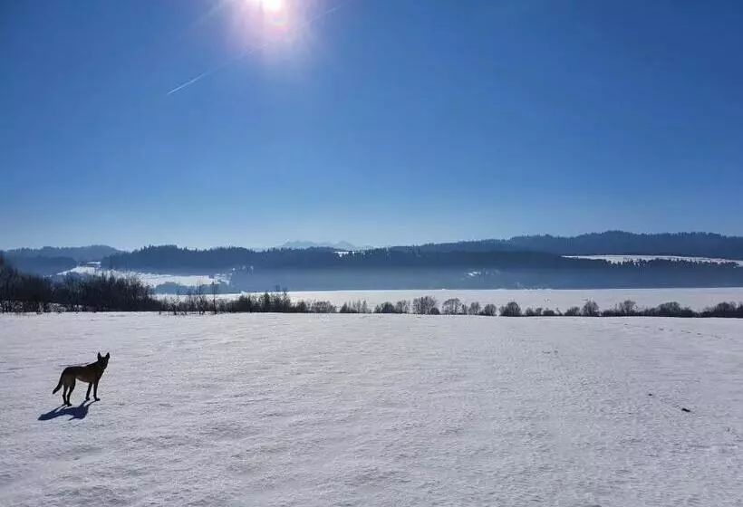 Majatalo Dom Podróżnika