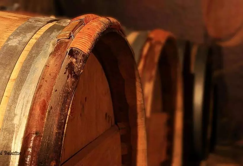 Retkeilymaja Miodosytnia