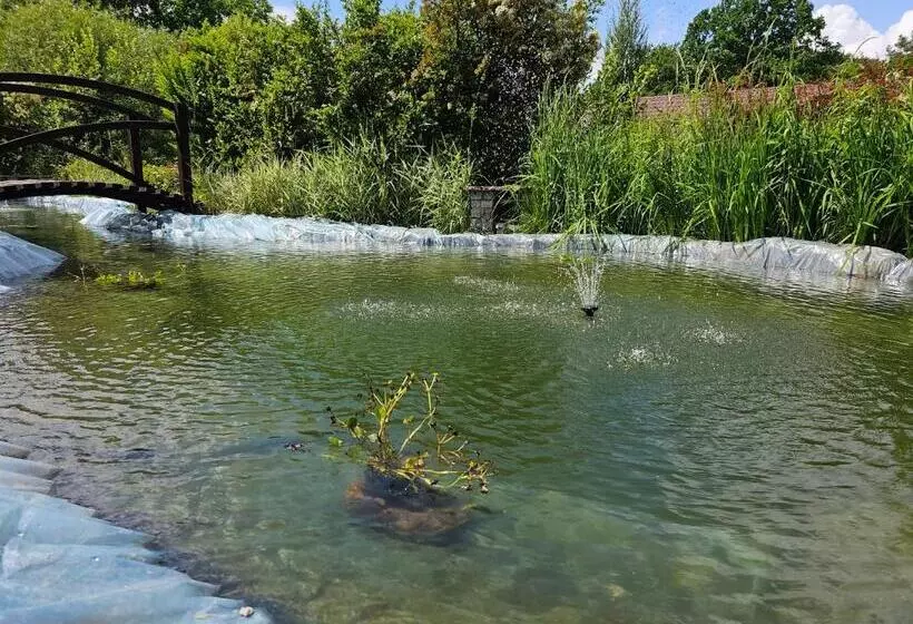 Aamiaismajoitus (B&B) Chata Nad Sztolnią