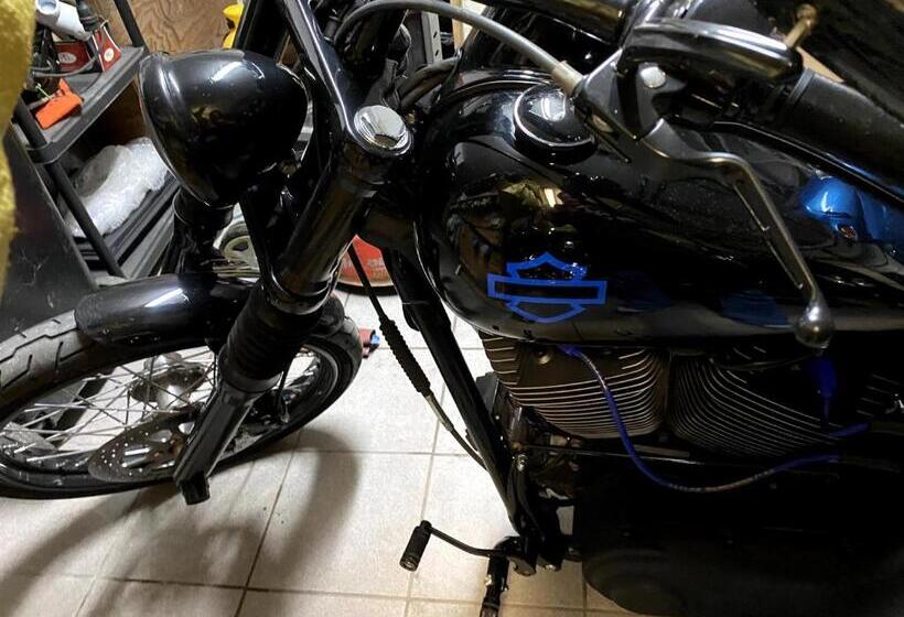 ベッドアンドブレックファースト Dom Supełek