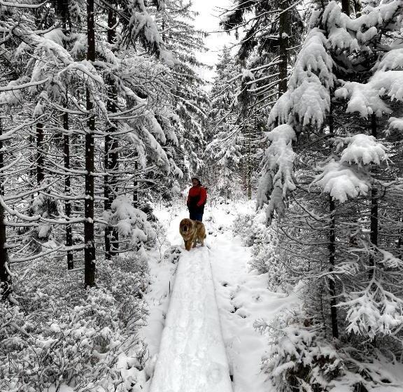 ベッドアンドブレックファースト Dom Supełek