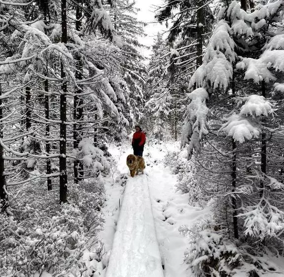 Aamiaismajoitus (B&B) Dom Supełek