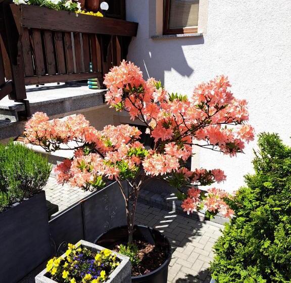 צימר Willa Celina