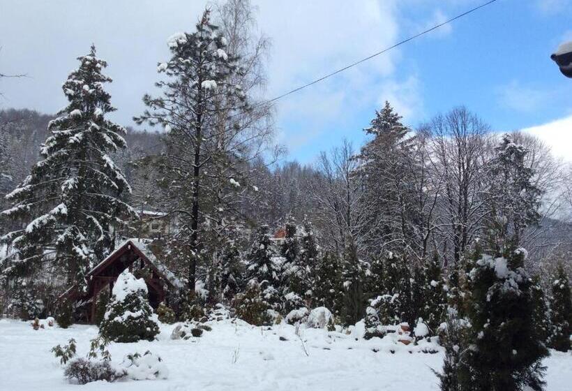 تختخواب و صبحانه Willa Pod Starą Skocznią