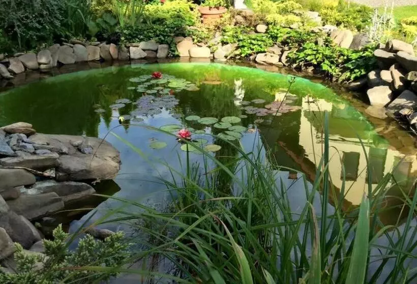 Aamiaismajoitus (B&B) Willa Pod Starą Skocznią