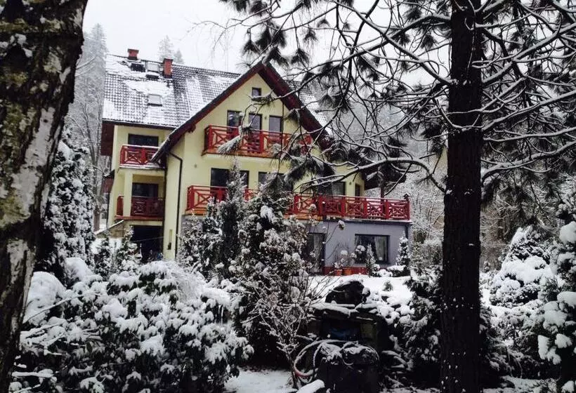 Aamiaismajoitus (B&B) Willa Pod Starą Skocznią