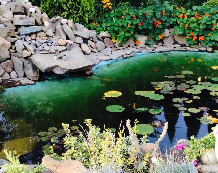 تختخواب و صبحانه Willa Pod Starą Skocznią