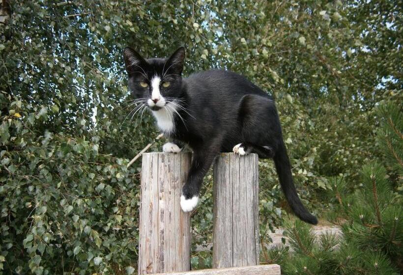 فندق Azuria Agroturystyka