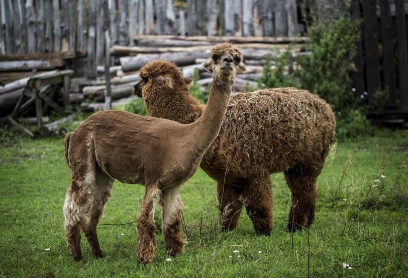 فندق Azuria Agroturystyka