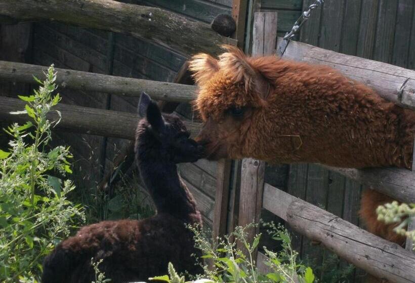 فندق Azuria Agroturystyka