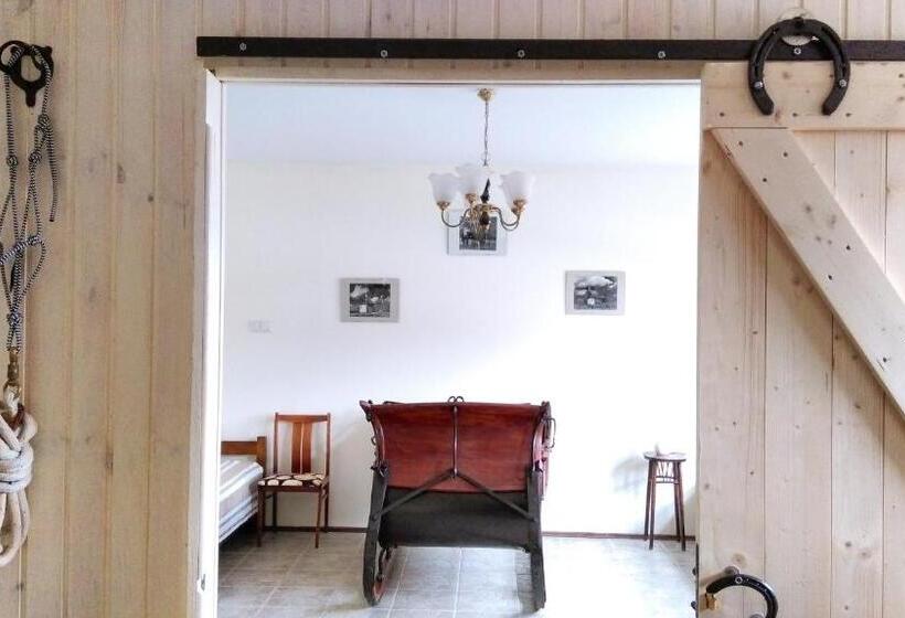 Отель Stajnia Zamczysk