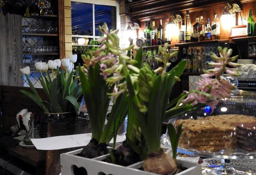 モーテル Noclegi I Restauracja Zodiak