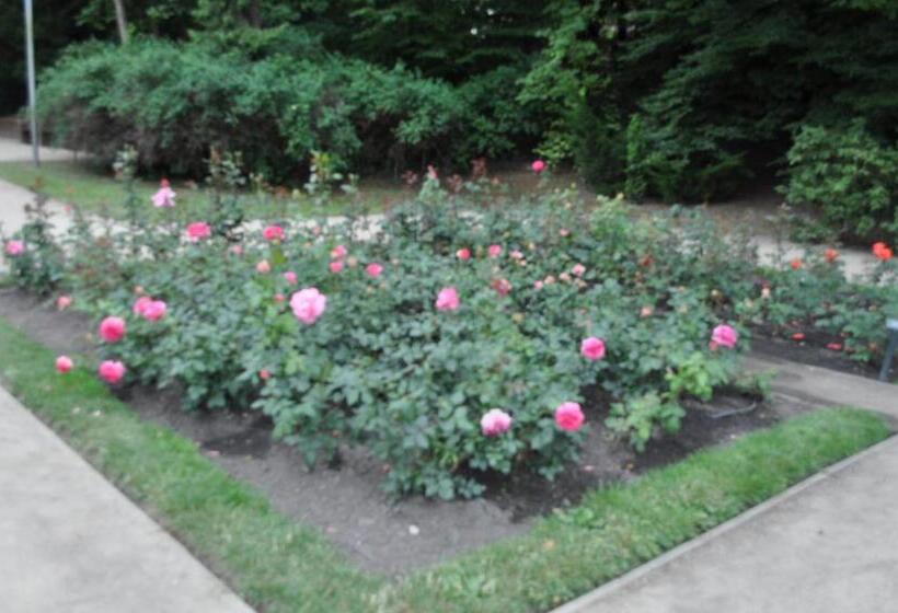 ペンション Pod Starymi Lipami