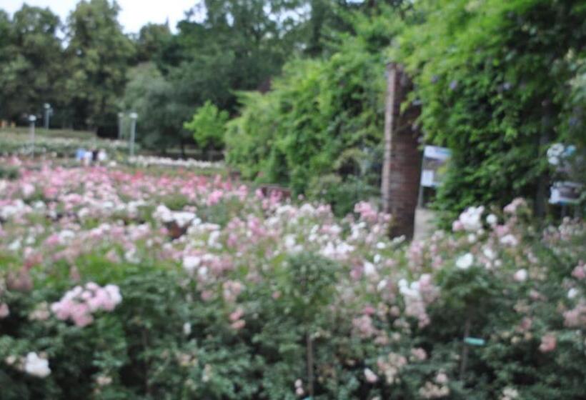 ペンション Pod Starymi Lipami