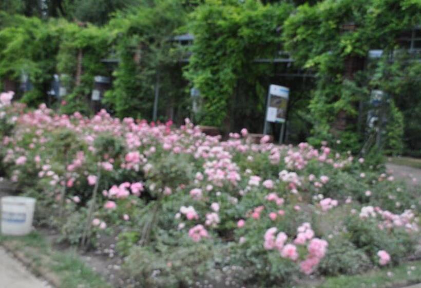 ペンション Pod Starymi Lipami