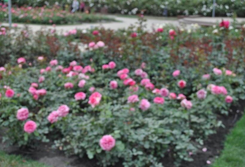 ペンション Pod Starymi Lipami